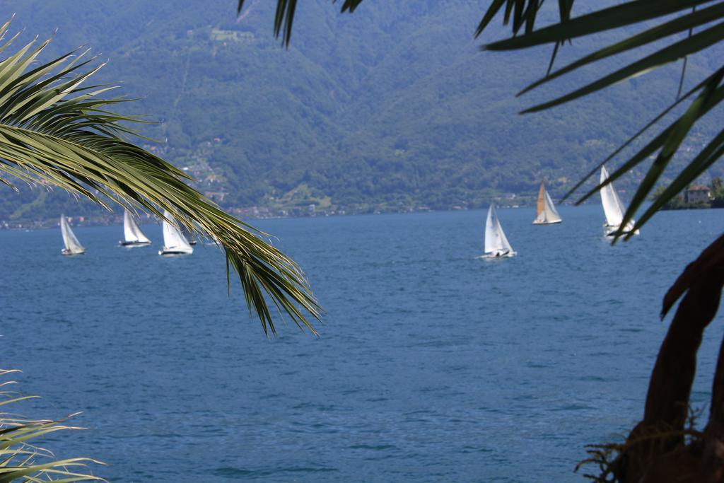 Casa San Martino Lägenhet Ronco sopra Ascona Exteriör bild