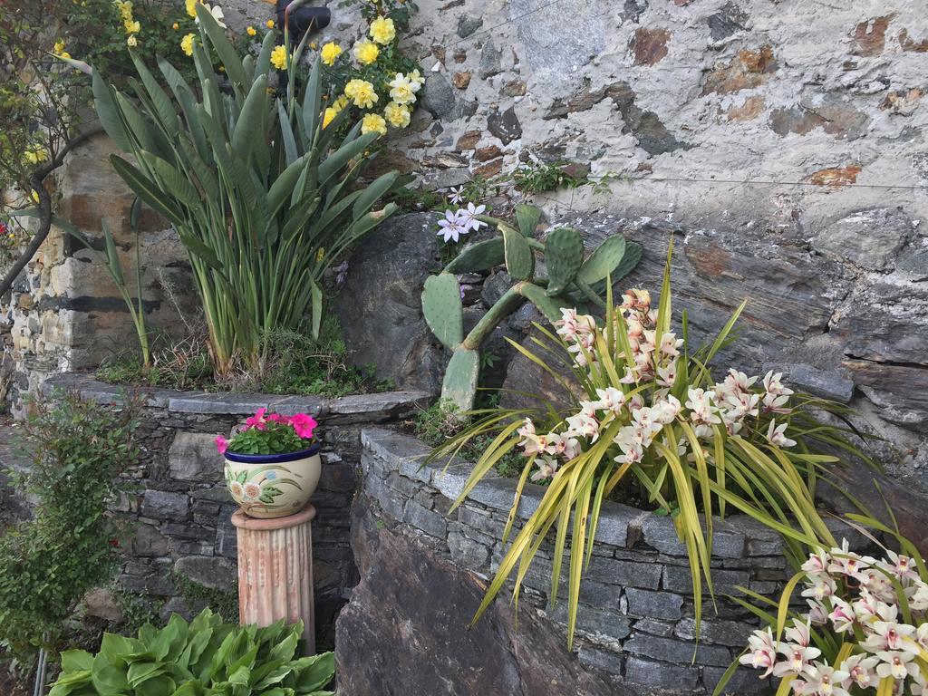 Casa San Martino Lägenhet Ronco sopra Ascona Exteriör bild