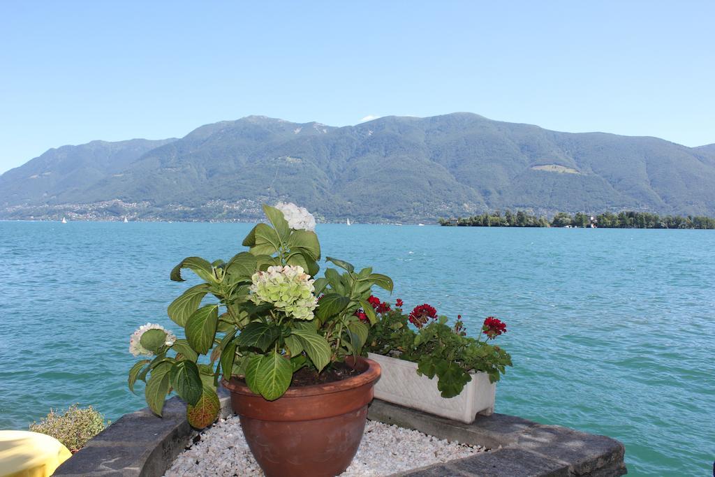 Casa San Martino Lägenhet Ronco sopra Ascona Exteriör bild