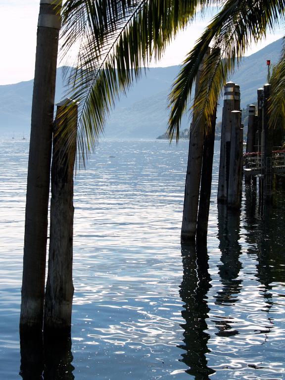 Casa San Martino Lägenhet Ronco sopra Ascona Exteriör bild