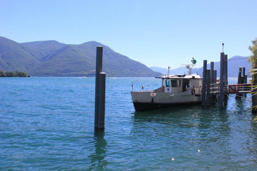 Casa San Martino Lägenhet Ronco sopra Ascona Exteriör bild