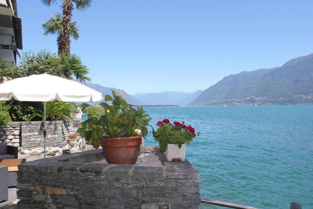 Casa San Martino Lägenhet Ronco sopra Ascona Exteriör bild